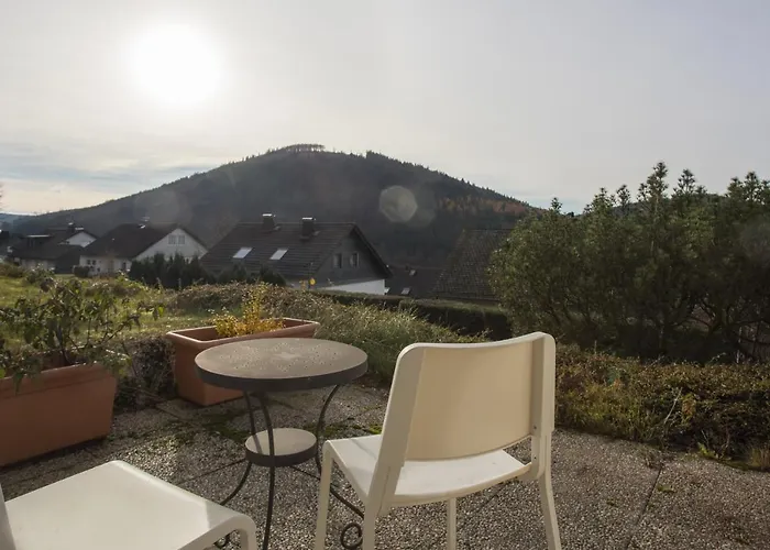 Appartement Welcome In - Appartement Touch Of Canada' Met Terras En Uitzicht Op De Bergen Winterberg