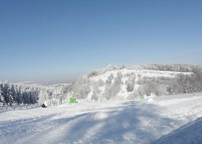 Welcome In - Appartement Touch Of Canada' Met Terras En Uitzicht Op De Bergen Winterberg